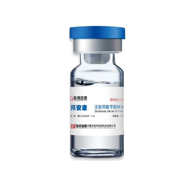 Ampicilline sodique pour injection